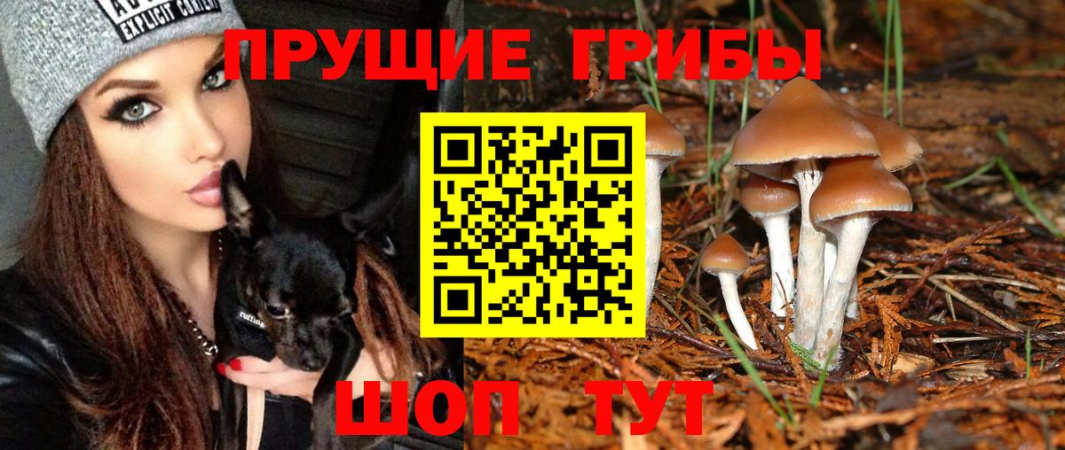 Галлюциногенные грибы Magic Shrooms  Галлюциногенные грибы MAGIC MUSHROOMS  Вход с VPN  Гусев 