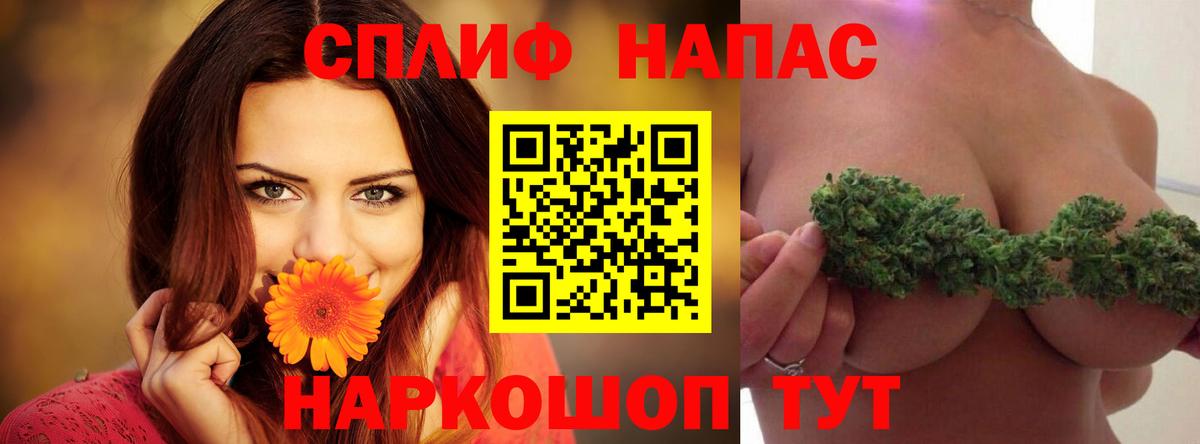 Канабис планчик Гусев